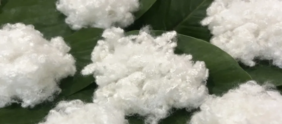 Ang polyester ba ay isang sintetikong hibla? Isang Bagay na Kailangan Mong Malaman