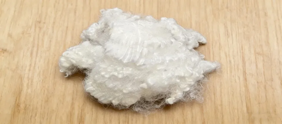 Ano ang Virgin Conjugate Fiber?